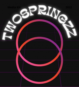 twospringzz-logo-dj.png