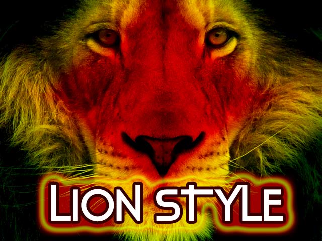 DJ Koldun Lion Style